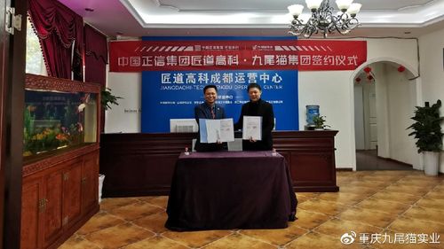重庆九尾猫实业的微博